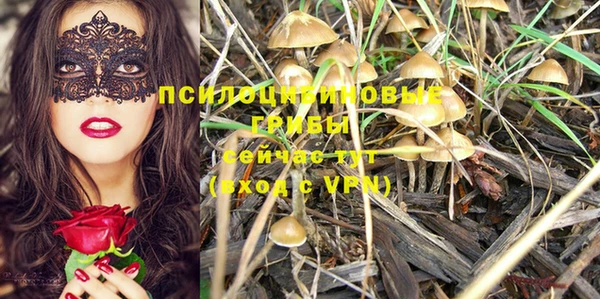 мяу мяу мука Осташков
