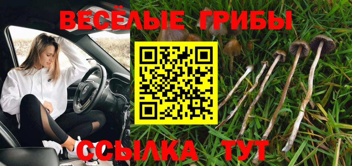 Каннабис  Марихуана  НБОМе  Меф МЯУ МЯУ   Барнаул  Цена  Вейп ТГК  Кокаин  Alpha PVP СОЛЬ   Вход с VPN 