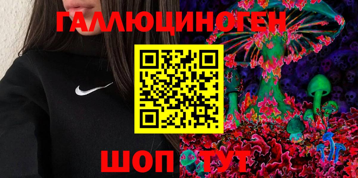 Галлюциногенные грибы Psilocybine cubensis Барнаул