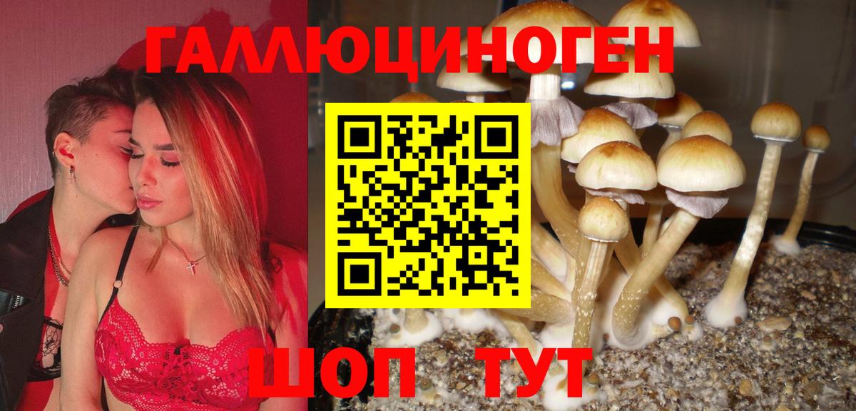 Барнаул  Галлюциногенные грибы прущие грибы  Вход с VPN 